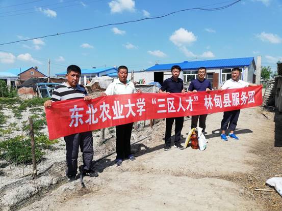 401594706812_.pic_hd