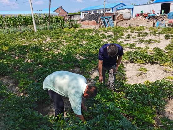 311594705145_.pic_hd