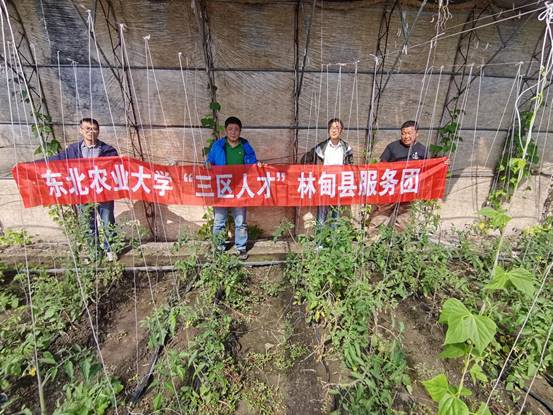 251600419308_.pic_hd