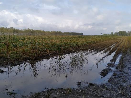 7fc116c3ee67fd6e23fcc3c811a0ed0