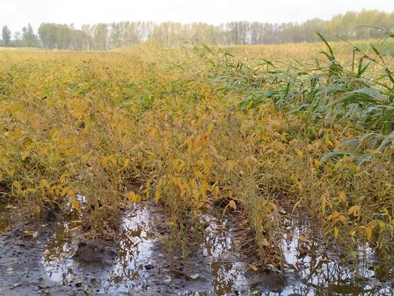 4bf262c8cefce8c5942ba8c127cc309