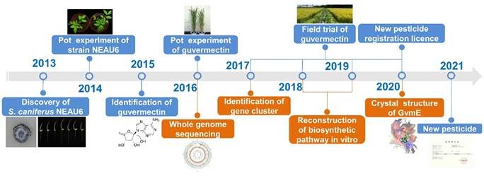 日程表描述已自动生成 日程表描述已自动生成