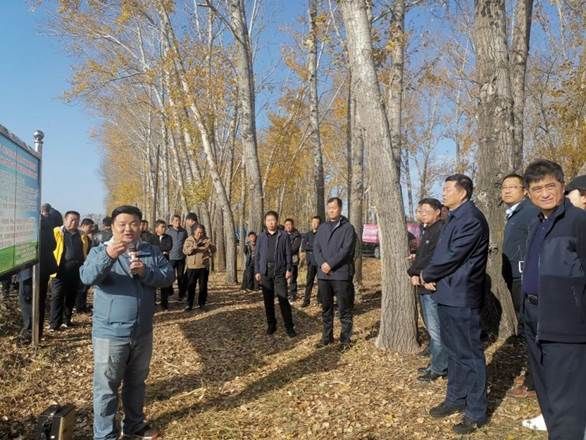 一群人站在树下描述已自动生成 一群人站在树下描述已自动生成