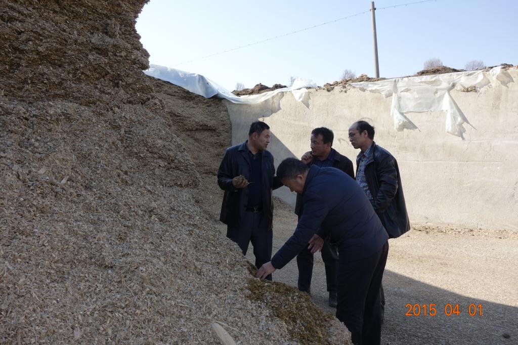 我校专家在850农场卫星奶牛小区指导生产