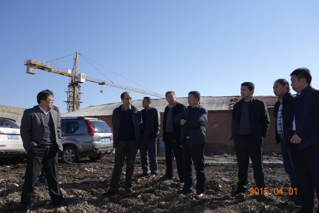 现场指导标准化牛场建设