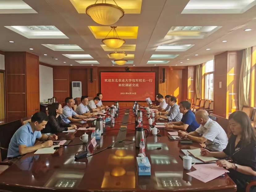 986c6b8815ac6b43acaf228536fcb40