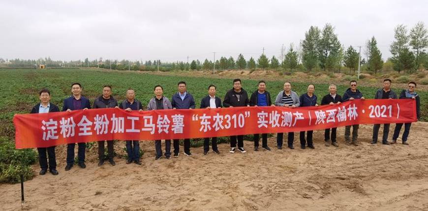 东农310榆林实收测产专家与嘉宾合影